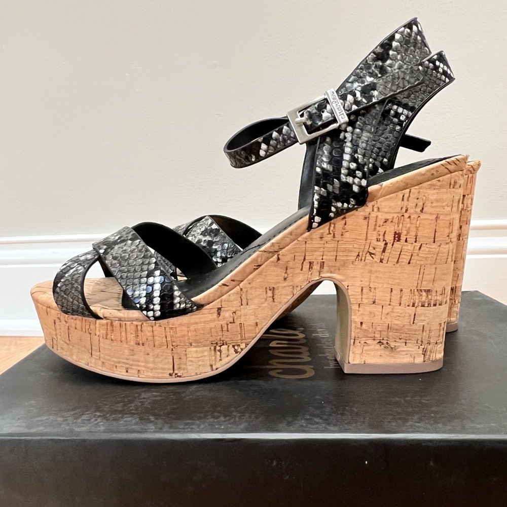 NWOT- CHARLES BY CHARLES DAVID Departed- Cork Platform Sandal